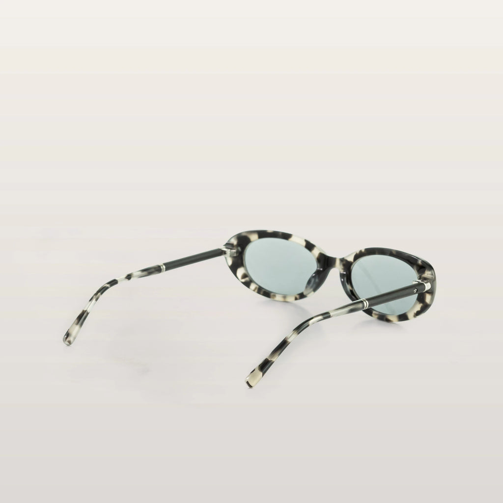 Monaco Tortoise